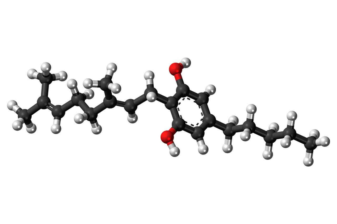 Cannabinoïde_Cannabigerol