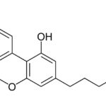 wat_is_de_cannabinoide_cannabinol