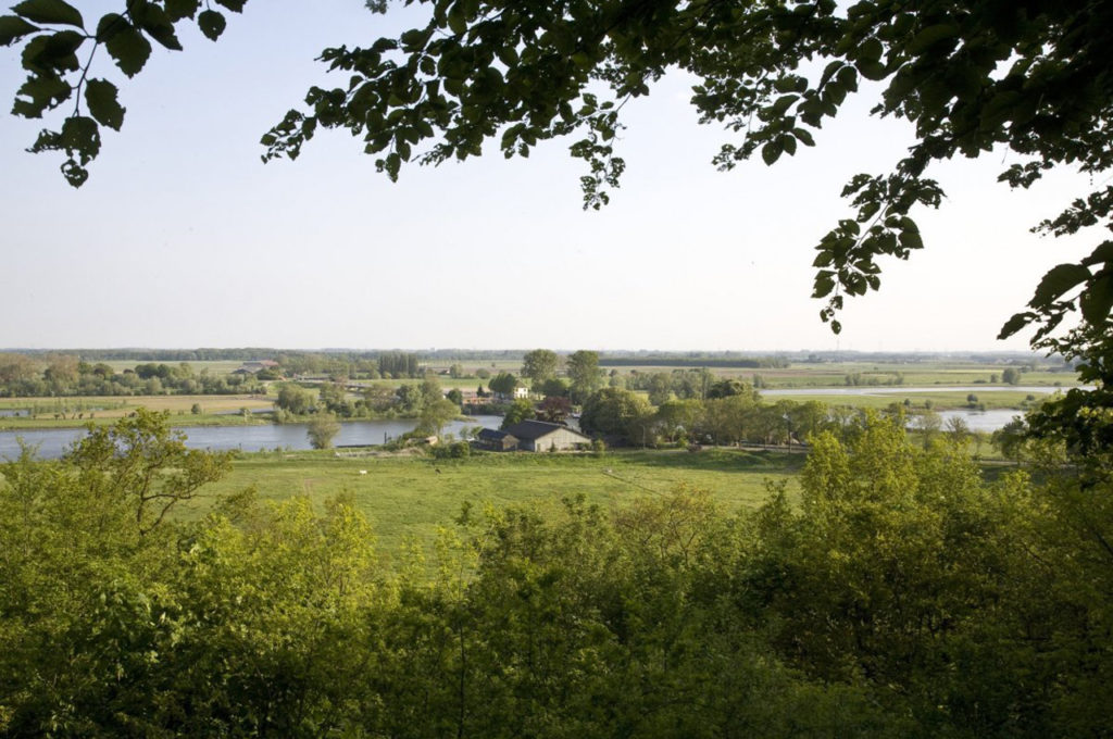 2C-I-en-het-verloren-arboretum