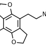 2C-B-FLY_subtiele_vlinders_buik