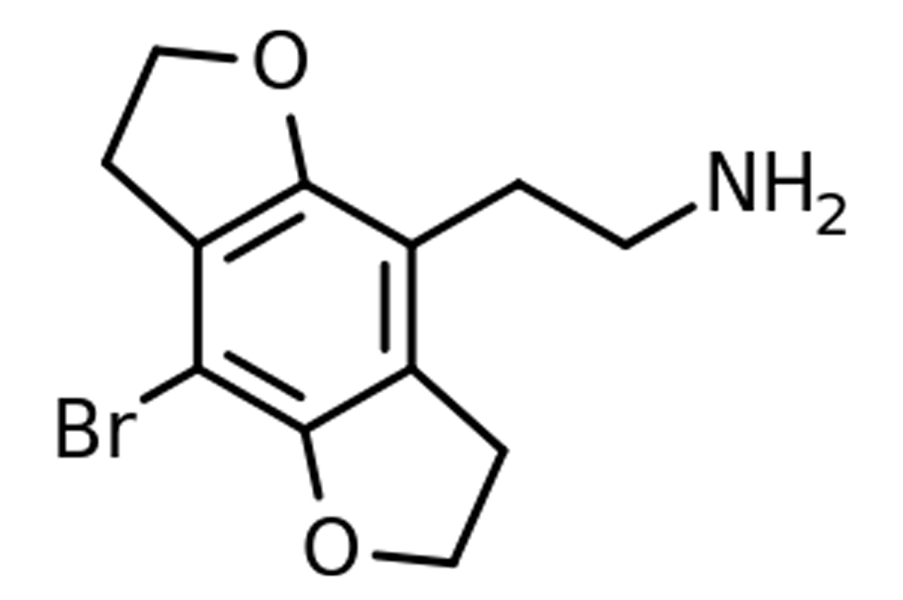 2C-B-FLY_subtiele_vlinders_buik