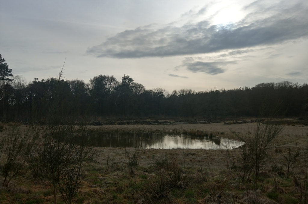 4-HO-MET-soepele-fietstocht-door-het-bos