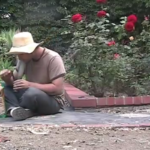 Salvia-tuin-youtube